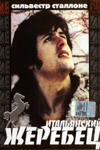 Итальянский жеребец 1970
